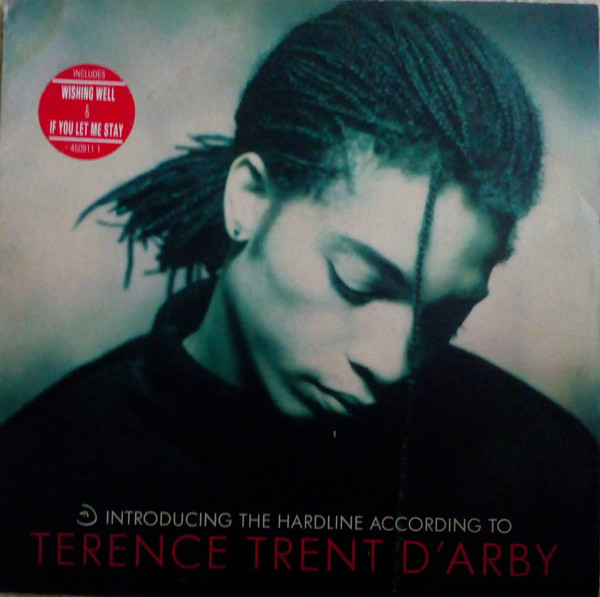 Introducing The Hardline According To Terence Trent D'Arby