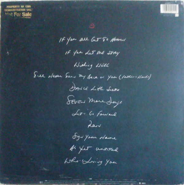 Introducing The Hardline According To Terence Trent D'Arby