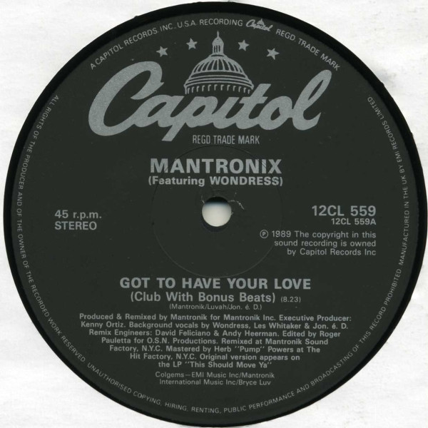 Got To Have Your Love