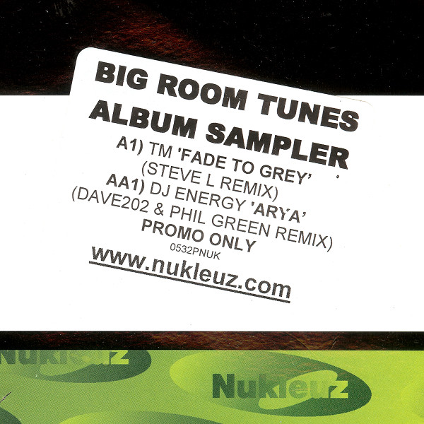 Big Room Tunes Album Sampler